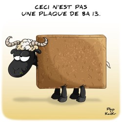 Dessin humoristique mouton carré "Ceci n'est pas une plaque de BA 13".