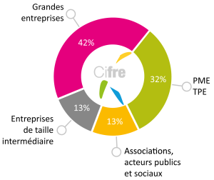 Répartition des Cifre par type de structure : Grandes entreprises 42% / PME-TPE 32% / Associations, acteurs publics et sociaux 13% / Entreprises de taille intermédiaire 13%